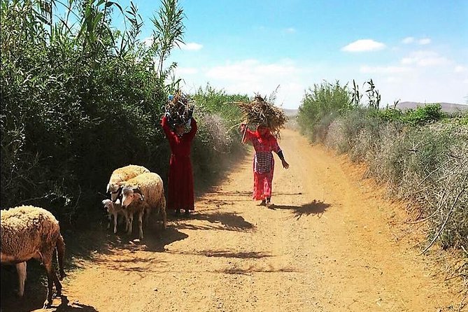 Marrakech Desert Buggy Tour Including Berber Tea Break and transfer - The Berber village tea stop