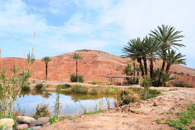 Marrakech Desert Buggy Tour Including Berber Tea Break and transfer - Returning through the afternoon light