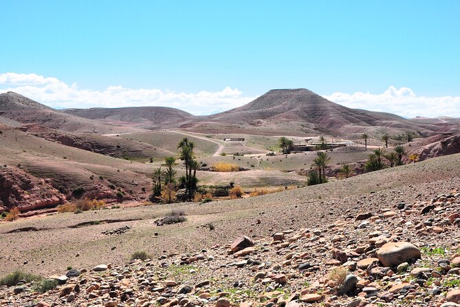 Marrakech Desert Buggy Tour Including Berber Tea Break and transfer - Who should book this buggy tour