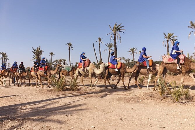 Marrakech Desert Camel Ride - Riding through palms and village surroundings