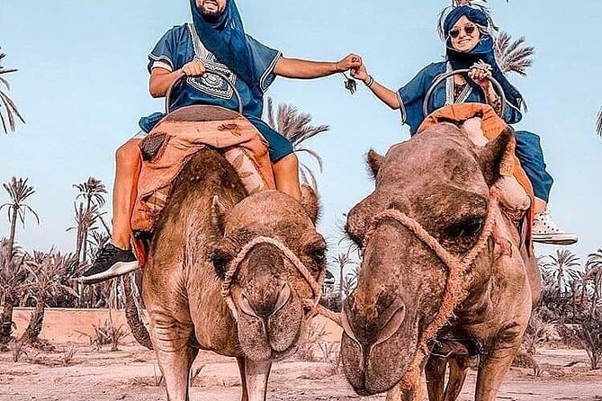 Marrakech Desert Camel Ride - The mint-tea stop in a traditional tent