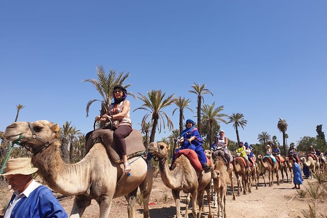 Marrakech Desert Camel Ride - What the two-hour schedule really means