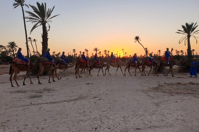 Marrakech Desert Camel Ride - Why the small group improves the experience