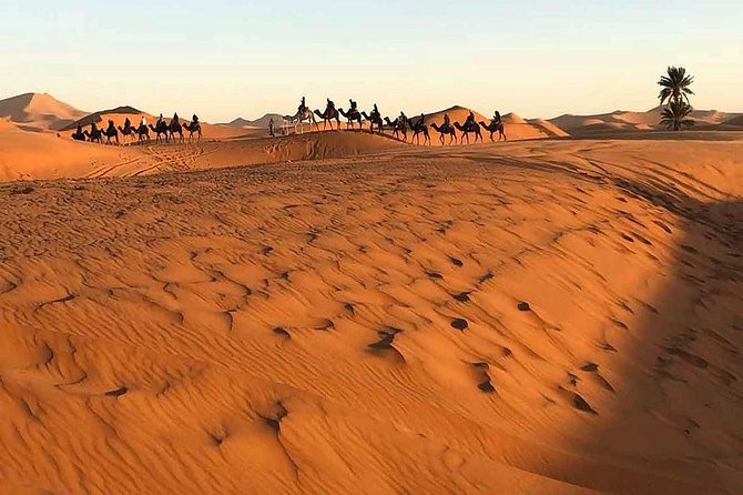 Marrakech Desert: Camel Ride, Quad Biking & Dinner Show Options - Dinner brings the strongest value