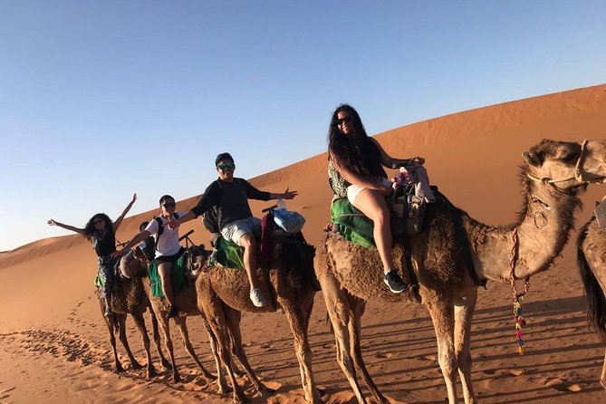 Marrakech Desert: Camel Ride, Quad Biking & Dinner Show Options - Berber music and the fire show