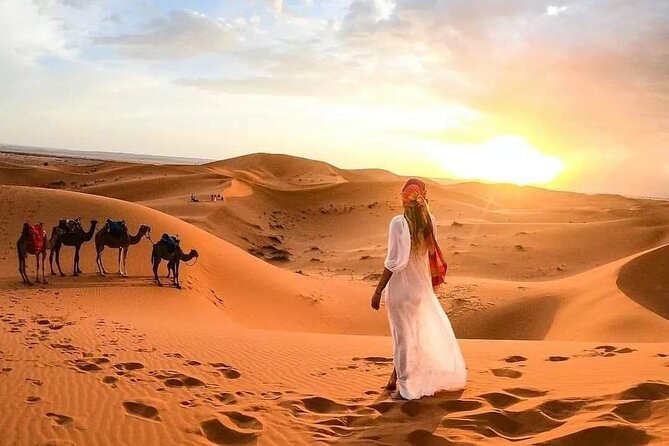 Marrakech Desert: Camel Ride, Quad Biking & Dinner Show Options - Who will enjoy this four-hour outing
