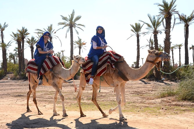 Marrakech Desert Camel Ride - Meeting your camel and learning the basics