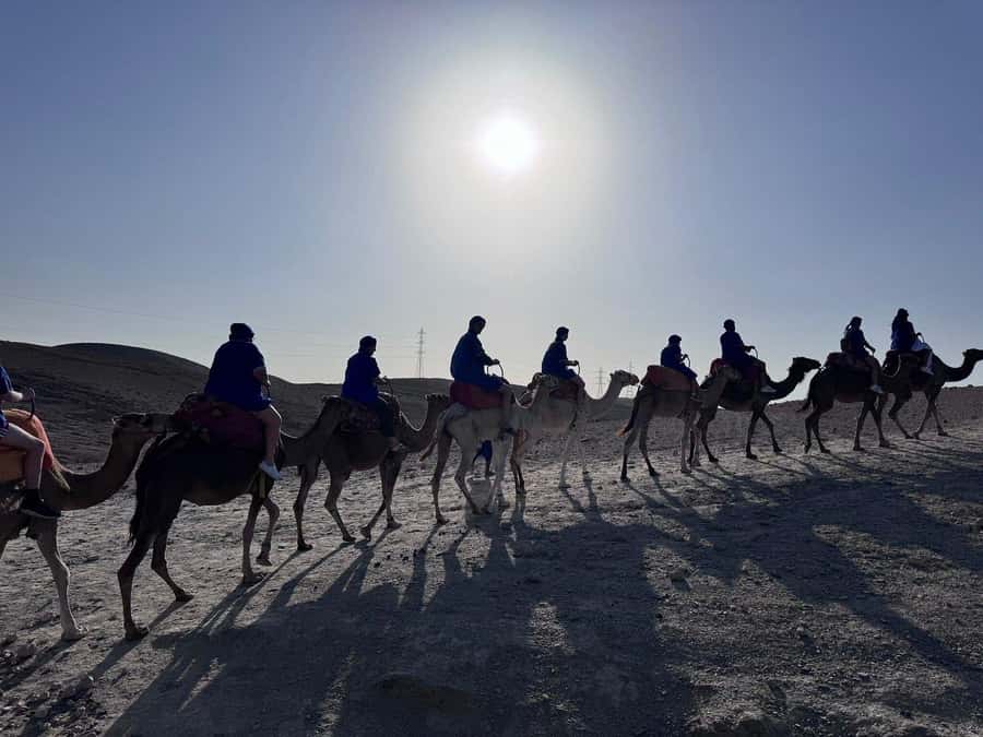 Marrakech: Desert Quad Bike Tour with Tea & Optional Dinner - What the $45 price really gives you