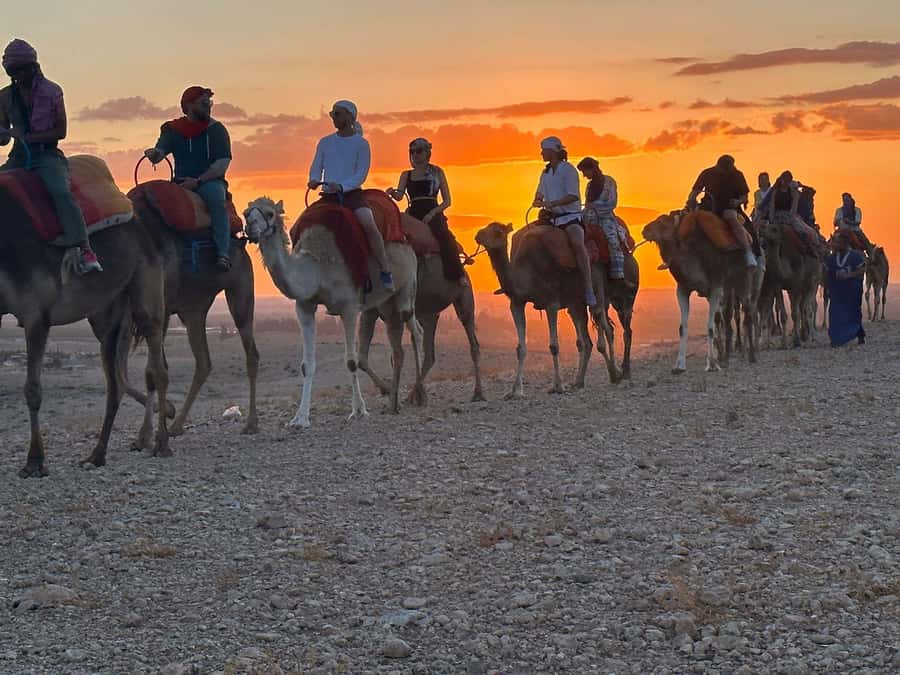 Marrakech: Desert Tour with Dinner, Show and Camel Ride - Takerkoust Dam and the tea pause
