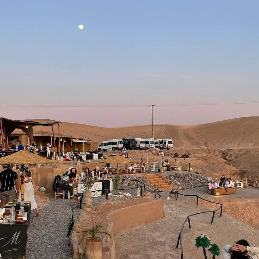 Marrakech: Desert Tour with Dinner, Show and Camel Ride - Who will enjoy this evening most