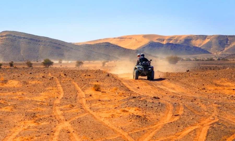 Marrakech: Dinner and Quad bike Desert Agafay Stars & show - Key points to know before booking