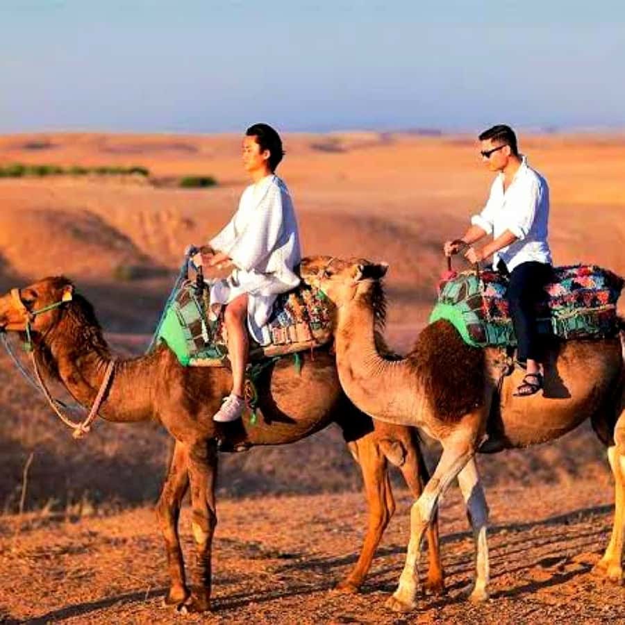 Marrakech: Dinner and Quad bike Desert Agafay Stars & show - Comfort, access, and timing