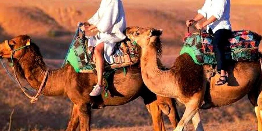 Marrakech: Dinner and Quad bike Desert Agafay Stars & show - Guides make the difference