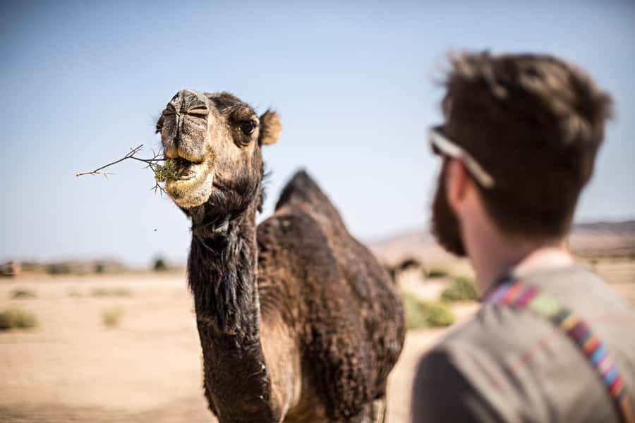 Marrakech: Dinner in Agafay Desert, Fire show & Camel Ride - Sunset colors over the Atlas Mountains
