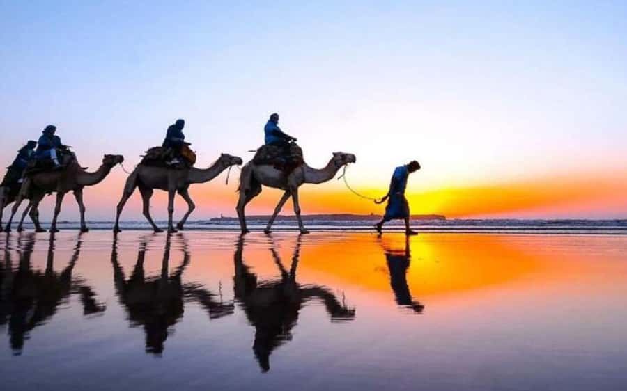 Marrakech Dinner Show Agafay Desert with Camels swiming pool - Leaving Marrakech for Agafay’s open desert