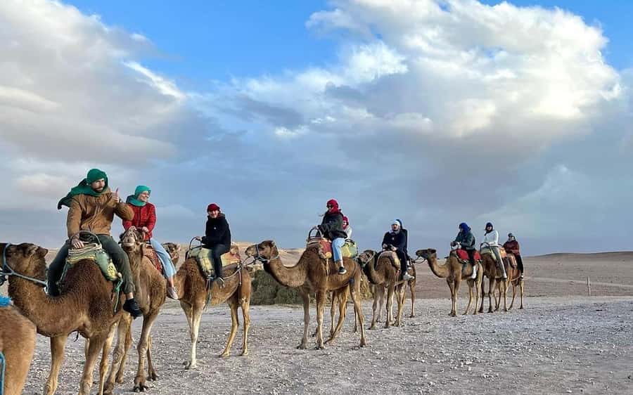 Marrakech Dinner Show Agafay Desert with Camels swiming pool - Learning about argan oil in a Berber village