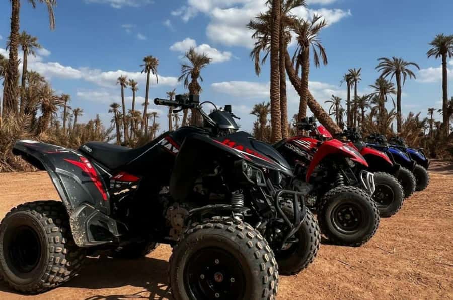 Marrakech: Dunes of the Palmeraie Quad Bike Ride with Tea - How much value do you get for $15?