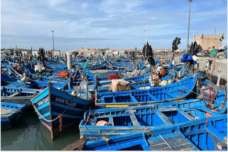 Marrakech: Essaouira Day Trip with Guided Tour - Key points to know before you book