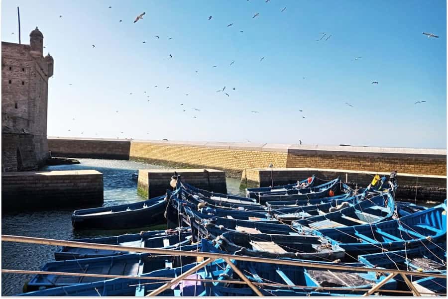 Marrakech: Essaouira Day Trip with Guided Tour - What happens at the argan oil cooperative