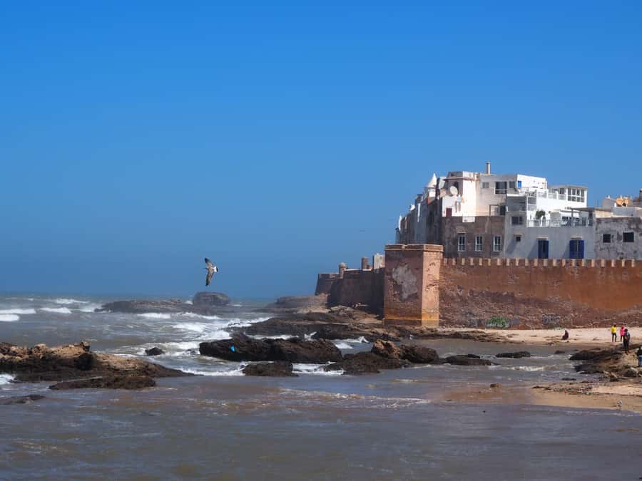 Marrakech: Essaouira Day Trip with Transfers and Co-op Visit - The café stop breaks up the long ride