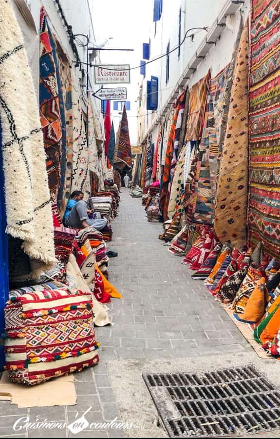 Marrakech: Essaouira Day Trip with Transfers and Co-op Visit - Goats, argan trees, and an important reality check