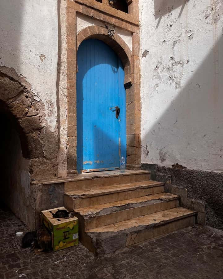 Marrakech: Essaouira Day Trip with Transfers and Co-op Visit - How to use your free time well