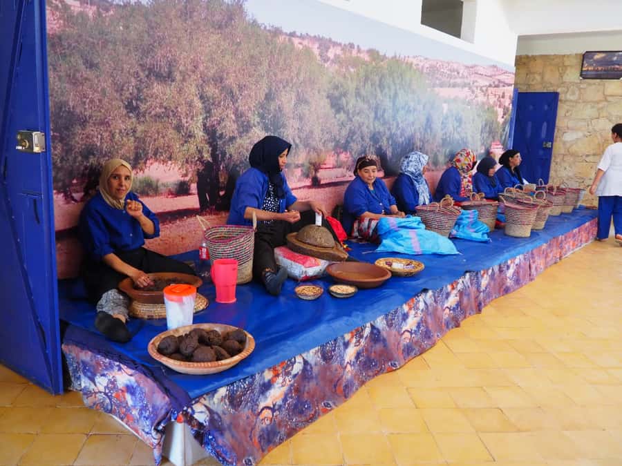 Marrakech: Essaouira Day Trip with Transfers and Co-op Visit - Guide and driver service