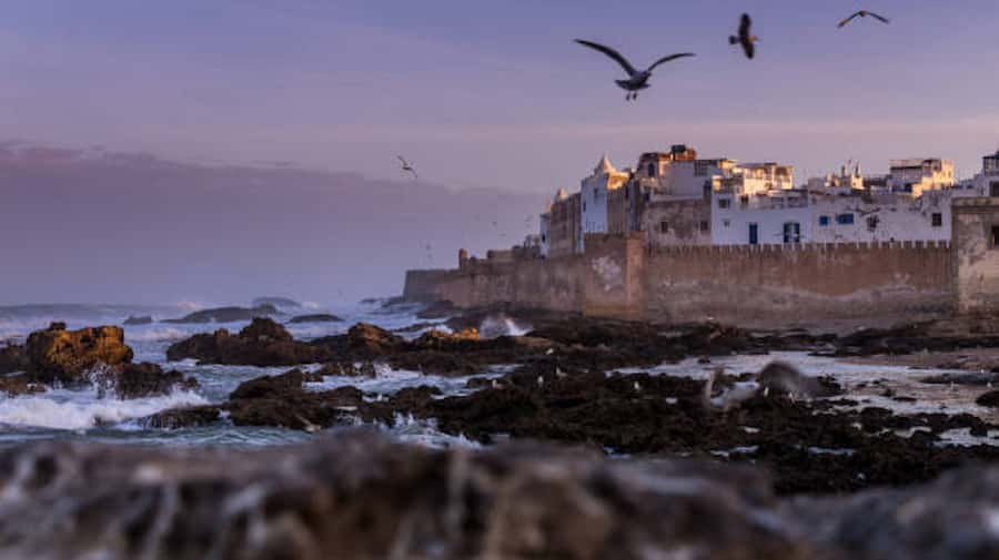 Marrakech: Essaouira Full-Day Trip - Leaving Marrakech at about 8:00 AM