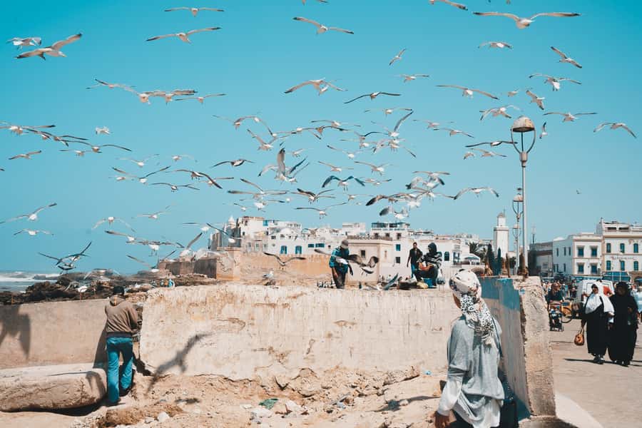 Marrakech: Essaouira Full-Day Trip - Souks, markets, and the jeweler’s quarter