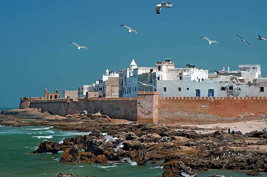 Marrakech: Essaouira Full-Day Trip - Beach time and a slower coastal pace
