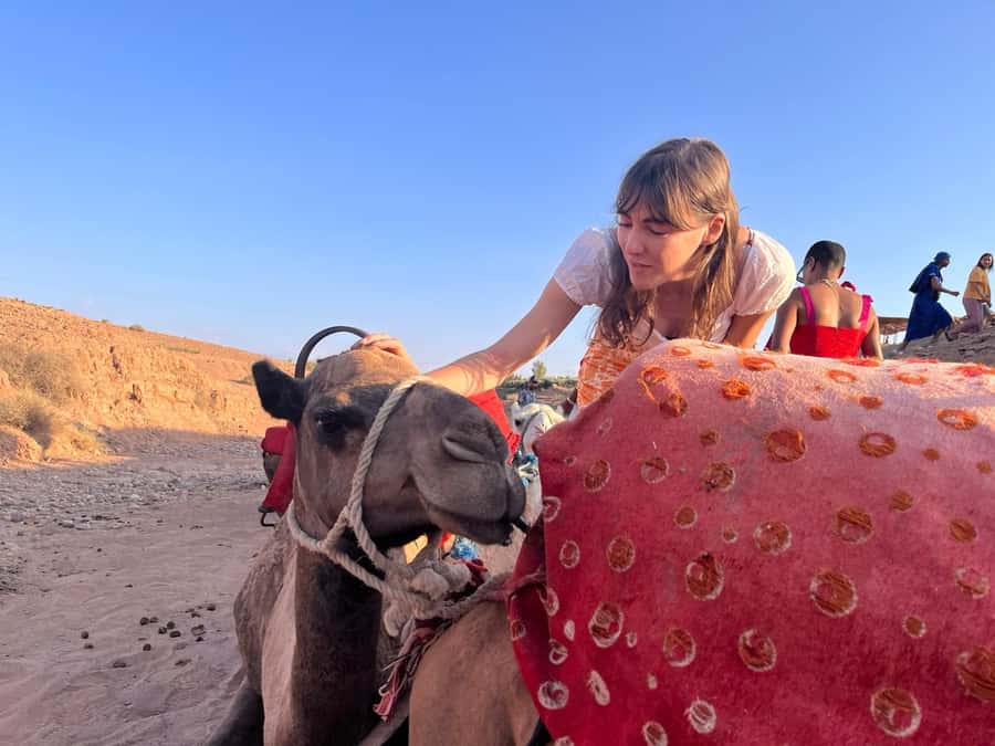 Marrakech: Evening Escape to the Agafay Desert - Pickup from Marrakech requires a little care