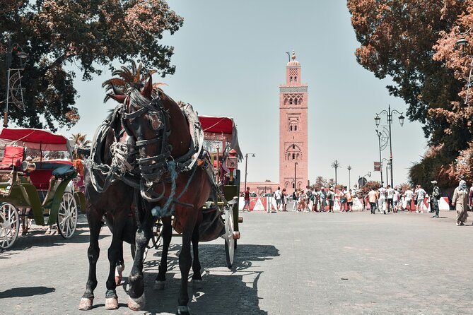 Marrakech Excursion Mini Group Camel Ride from Casablanca - Jemaa el-Fnaa, where the city gets loud