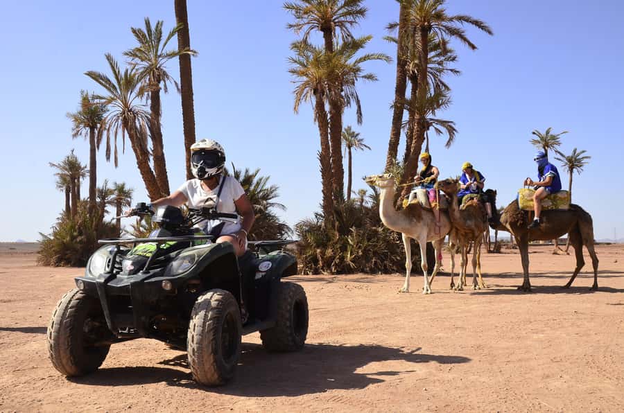 Marrakech:excursion quad in Oasis palm & jbilat desert,tea - Quad Bikes, Buggies, and the Right Pace