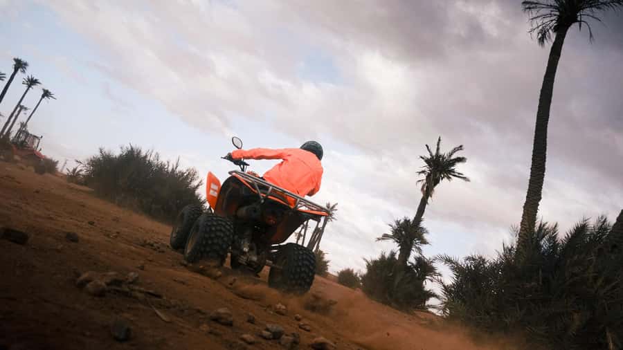 Marrakech:excursion quad in Oasis palm & jbilat desert,tea - Photographs, Videos, and the Scenic Stops