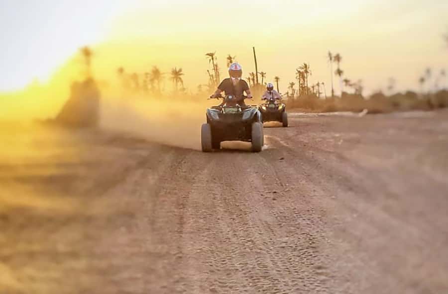 Marrakech, explore the palm grove desert by quad bike - Key points to know before you book