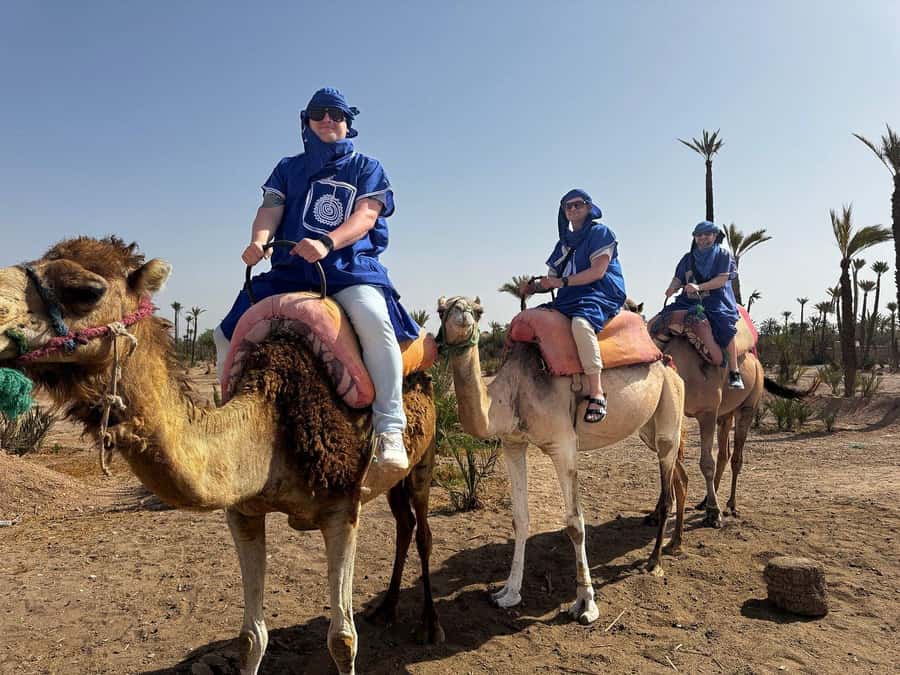 Marrakech Full-day excursion From Casablanca - Bahia Palace and the details overhead