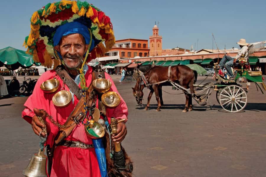 Marrakech Full-day excursion From Casablanca - The Palmeraie camel ride