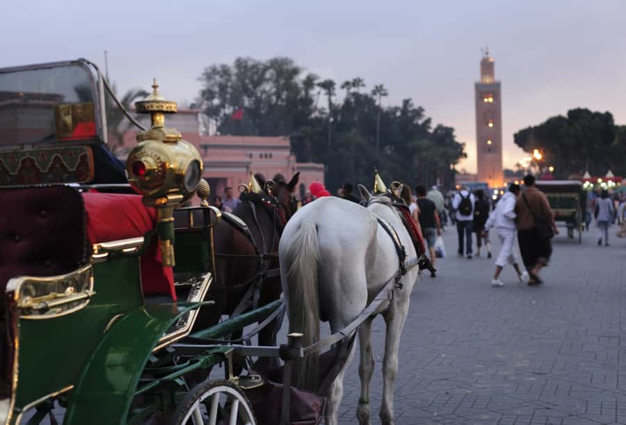 Marrakech Full-Day Guided Tour with Lunch - What this Marrakech tour is really trying to do