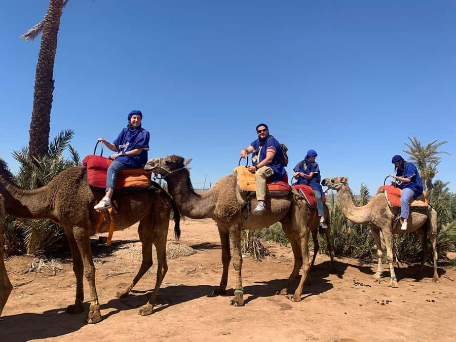 Marrakech: Guided Quad Bike and Camel Ride Tour with Tea - Getting started with the quad bikes