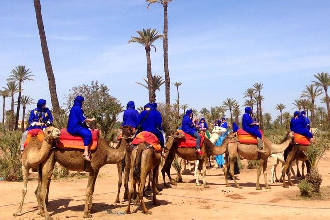 Marrakech: Half-Day Camel Ride in Palm Grove - Why this Palm Grove ride works so well
