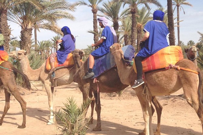 Marrakech: Half-Day Camel Ride in Palm Grove - Getting dressed for the ride