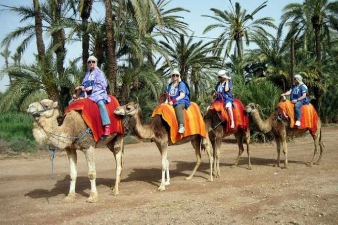 Marrakech: Half-Day Camel Ride in Palm Grove - Meeting the camels and mounting safely