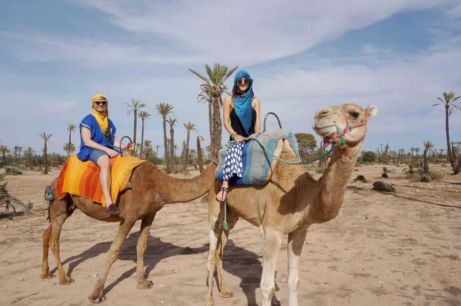 Marrakech: Half-Day Camel Ride in Palm Grove - Photos, songs, and small personal touches