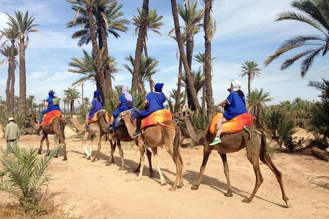 Marrakech: Half-Day Camel Ride in Palm Grove - Leaving Marrakech by van