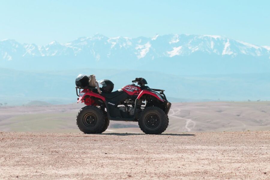 Marrakech: Half-Day Desert Quad Tour with Camel Ride - What the guides add to the day
