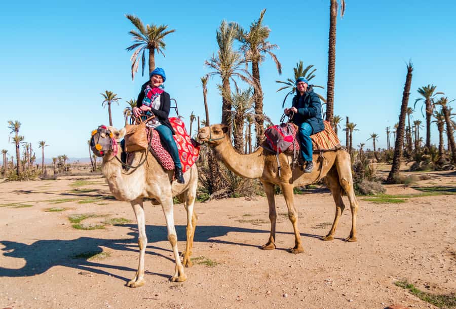 Marrakech: Half-Day Desert Quad Tour with Camel Ride - The dromedary ride and Berber village visit