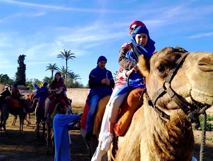 Marrakech: Half-day Dunes Trip With Buggy and Camel Ride - A four-hour escape from Marrakech