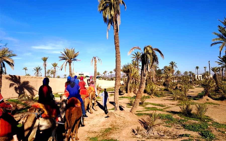 Marrakech: Half-day Dunes Trip With Buggy and Camel Ride - Practical preparation for the desert