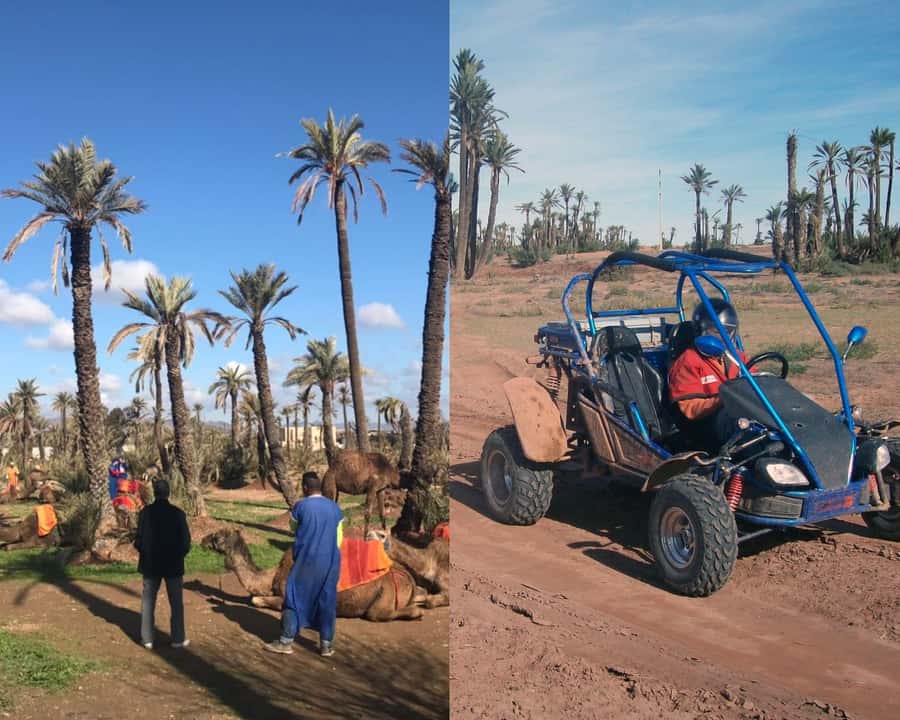 Marrakech: Half-day Dunes Trip With Buggy and Camel Ride - Getting behind the wheel for 1 hour and 45 minutes