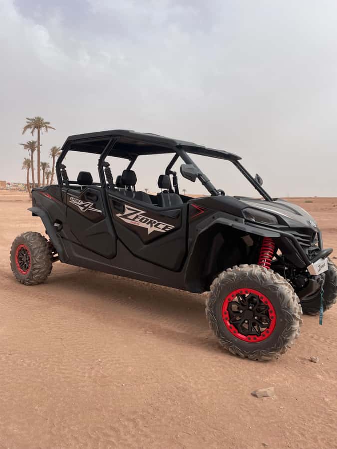 Marrakech: Half-day private tour in a 1000cc buggy in the Agafay Desert - Who will enjoy this Agafay outing